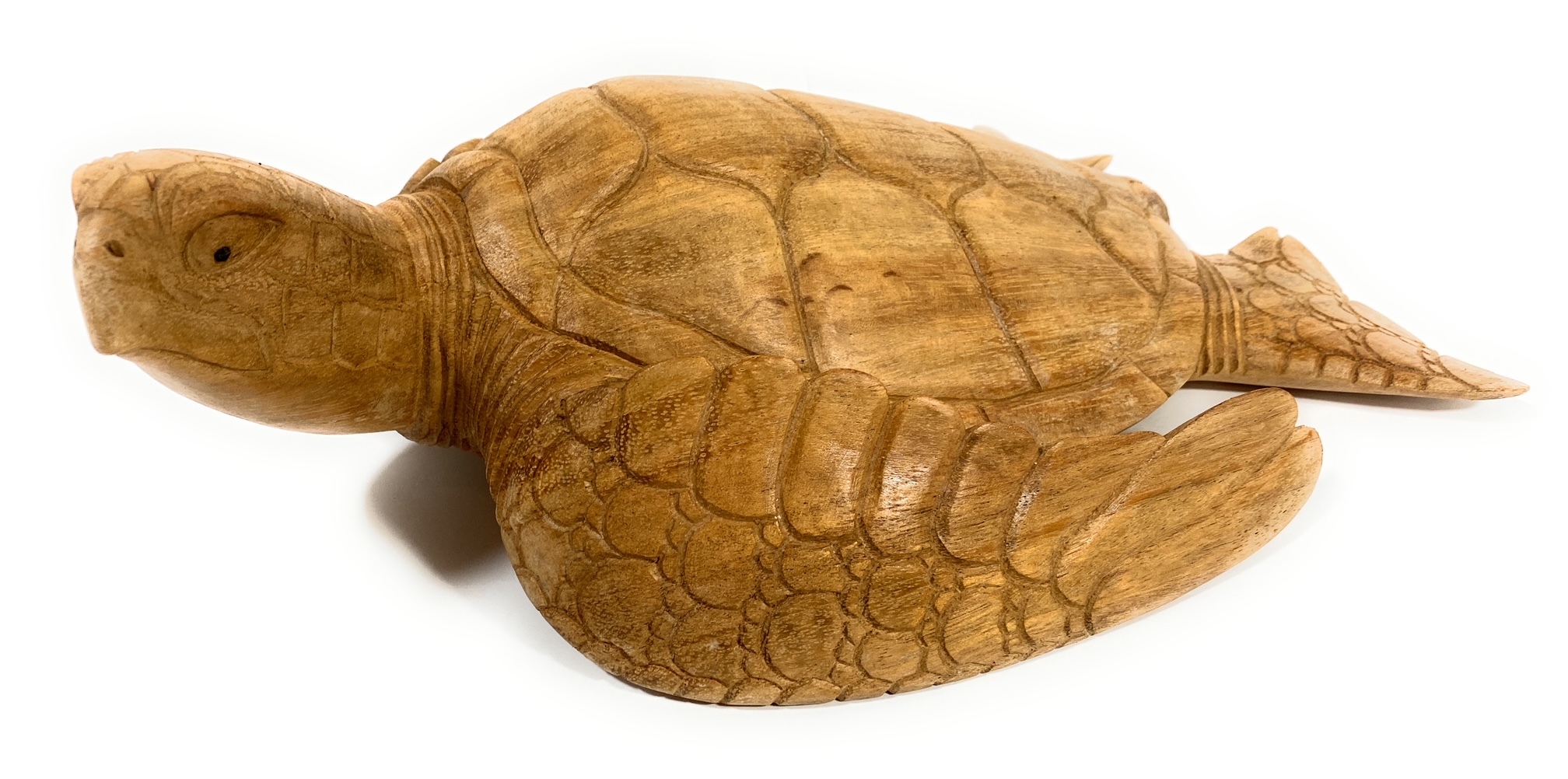 Carved turtle art